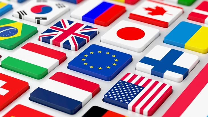 Dil Eklentisi (Tek Dil)